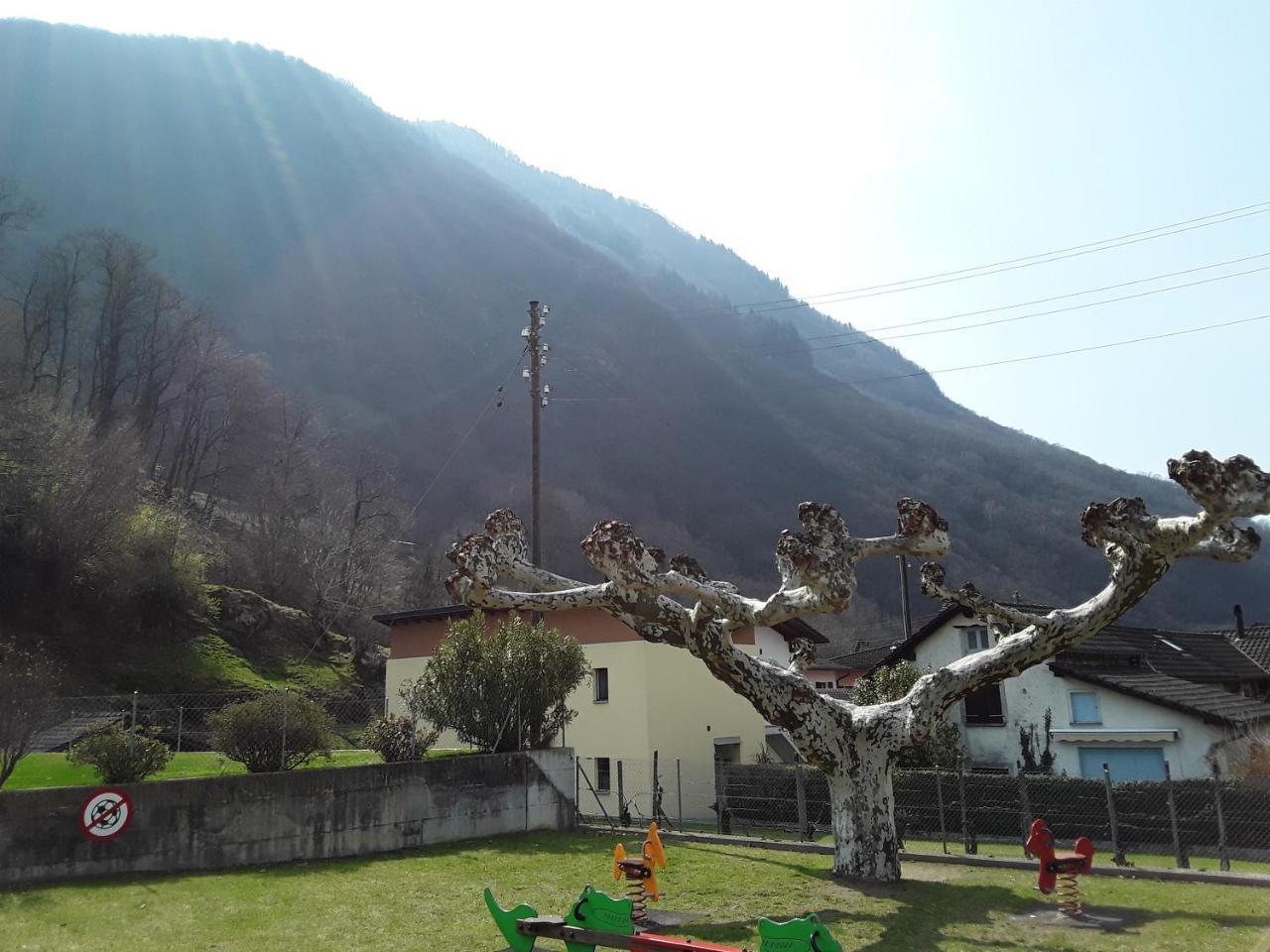 Holidays Homes Il Folletto Quartino Exterior photo